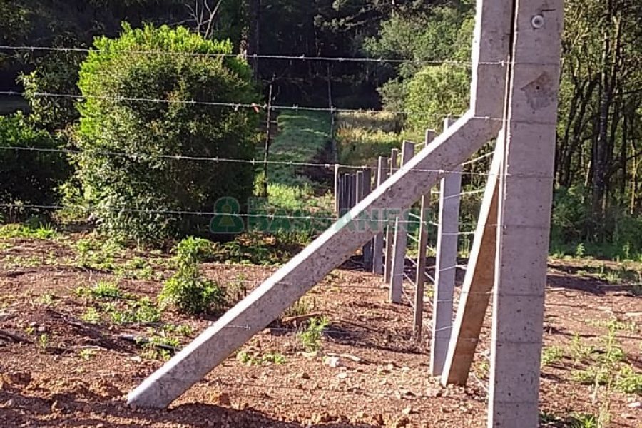Chácara com 80m², 3 dormitórios, no bairro Pedras Brancas em São Marcos para Comprar