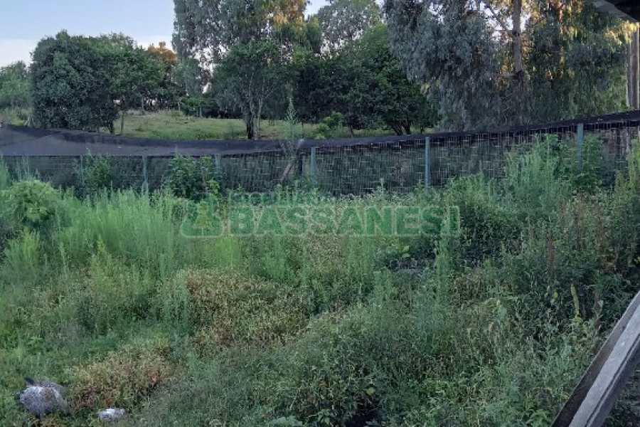 Chácara com 275m², 1 dormitório, 2 vagas, no bairro Criuva em São Marcos para Comprar
