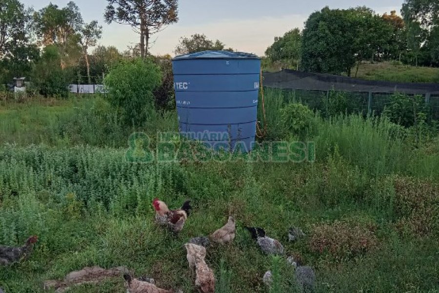 Chácara com 275m², 1 dormitório, 2 vagas, no bairro Criuva em São Marcos para Comprar