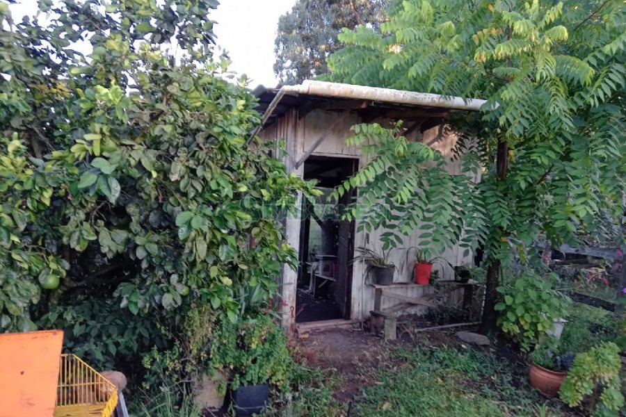 Chácara com 275m², 1 dormitório, 2 vagas, no bairro Criuva em São Marcos para Comprar