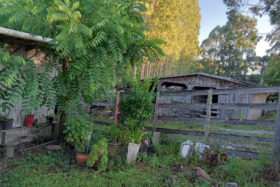 Chácara com 275m², 1 dormitório, 2 vagas, no bairro Criuva em São Marcos para Comprar