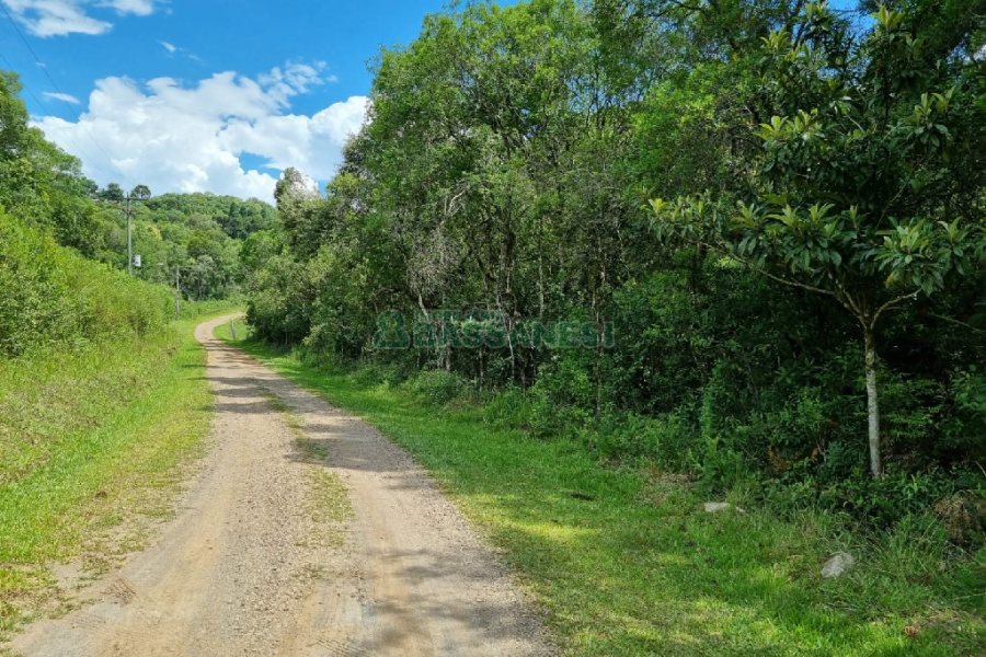 Chácara, no bairro Ana Rech em Caxias do Sul para Comprar