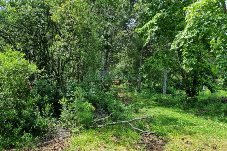 Chácara, no bairro Ana Rech em Caxias do Sul para Comprar