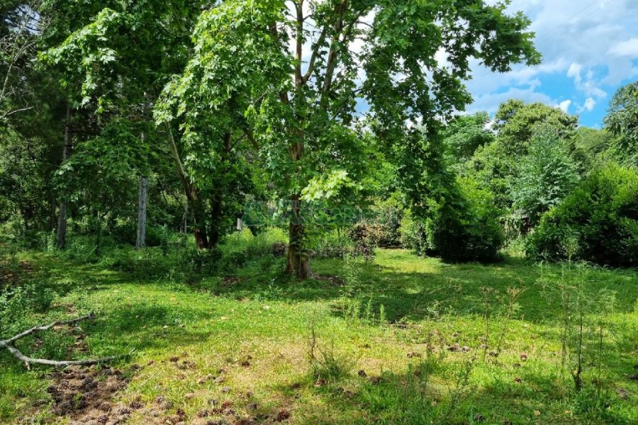 Chácara, no bairro Ana Rech em Caxias do Sul para Comprar