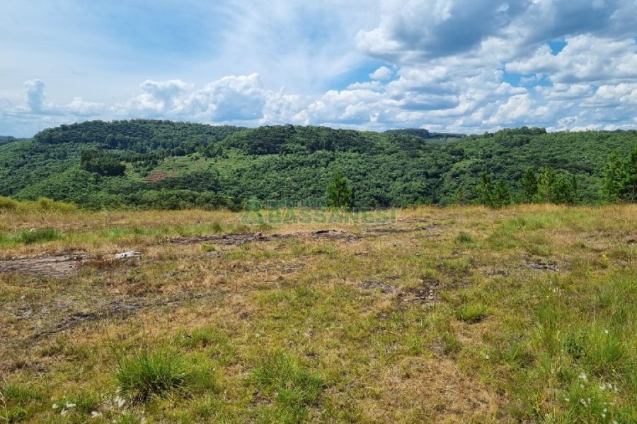 Chácara, no bairro Ana Rech em Caxias do Sul para Comprar