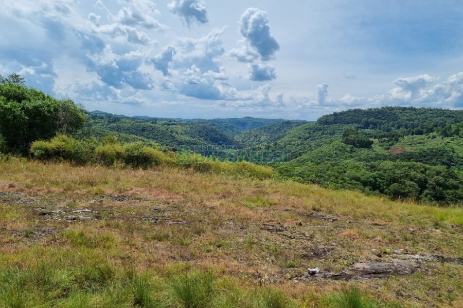 Chácara, no bairro Ana Rech em Caxias do Sul para Comprar