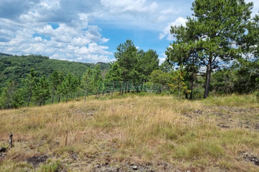 Chácara, no bairro Ana Rech em Caxias do Sul para Comprar