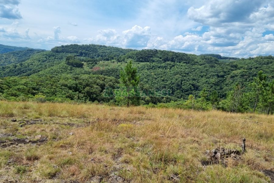Chácara, no bairro Ana Rech em Caxias do Sul para Comprar
