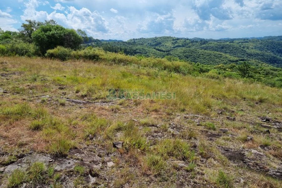 Chácara, no bairro Ana Rech em Caxias do Sul para Comprar