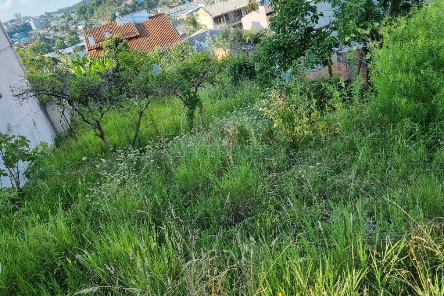 Terreno, no bairro Universitário em Caxias do Sul para Comprar