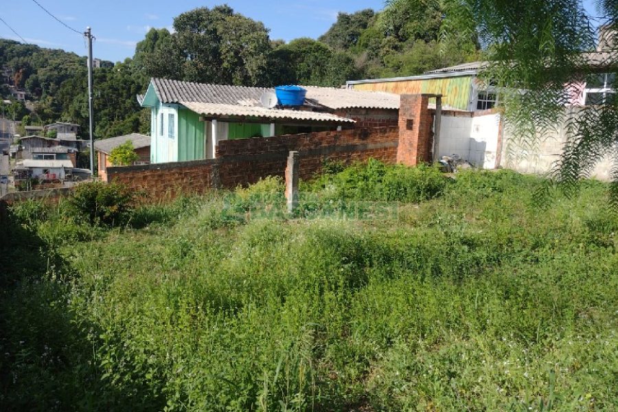 Terreno com 256m², no bairro Cidade Nova em Caxias do Sul para Comprar