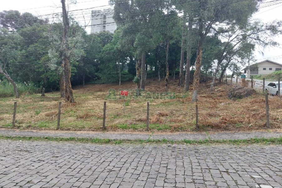 Terreno, no bairro Petrópolis em Caxias do Sul para Comprar
