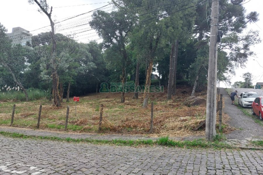 Terreno, no bairro Petrópolis em Caxias do Sul para Comprar