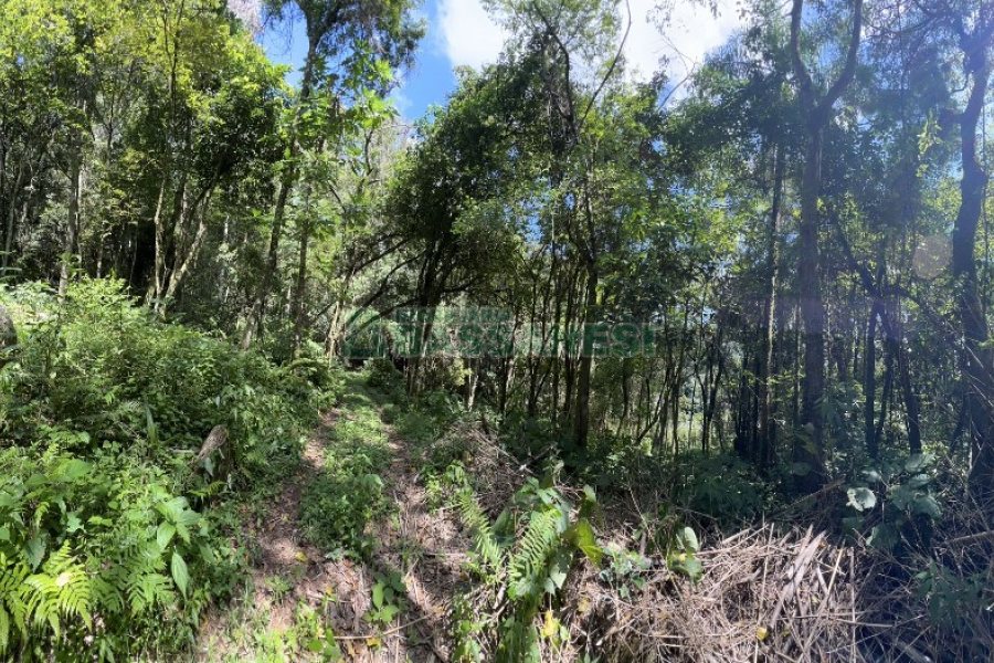 Terreno, no bairro Galópolis em Caxias do Sul para Comprar