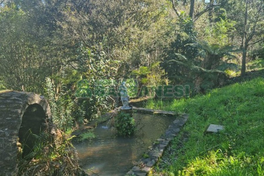 Chácara com 150m², 2 dormitórios, 1 vaga, no bairro Vila Seca em Caxias do Sul para Comprar