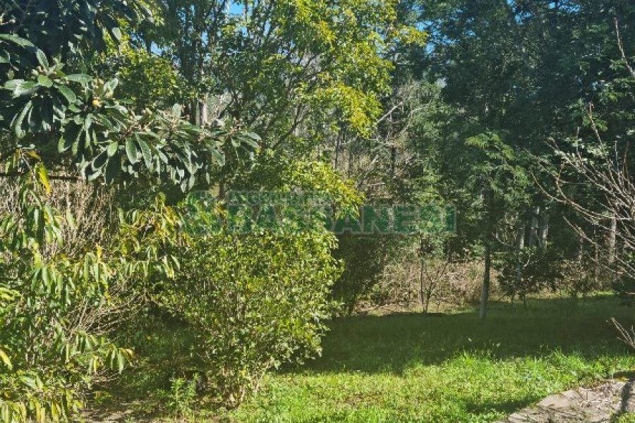 Chácara com 150m², 2 dormitórios, 1 vaga, no bairro Vila Seca em Caxias do Sul para Comprar