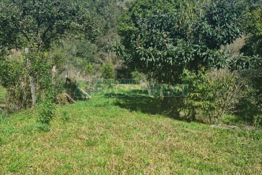 Chácara com 150m², 2 dormitórios, 1 vaga, no bairro Vila Seca em Caxias do Sul para Comprar