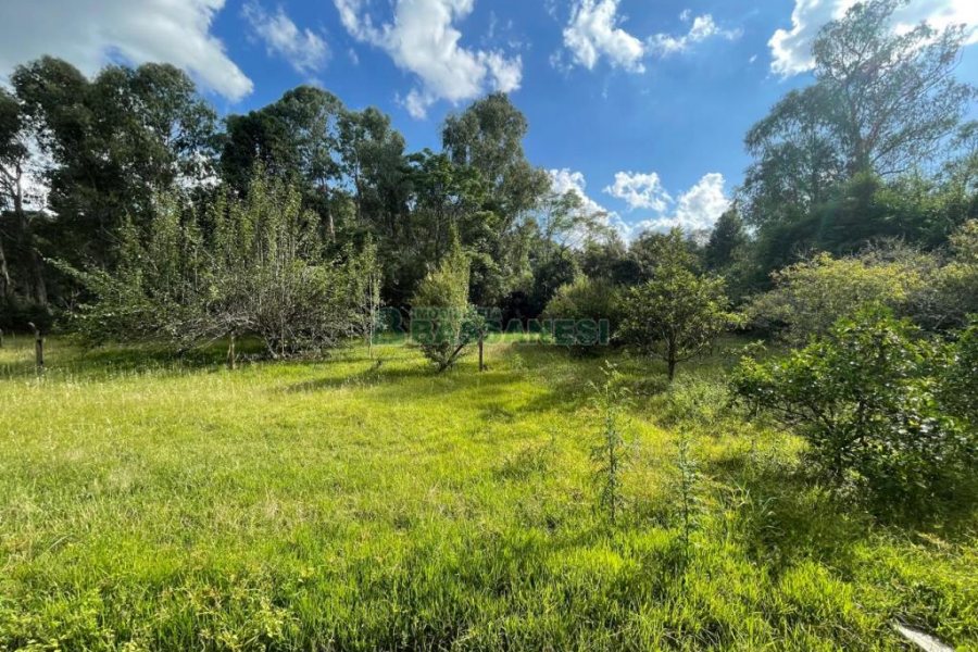 Chácara com 150m², 2 dormitórios, 1 vaga, no bairro Vila Seca em Caxias do Sul para Comprar