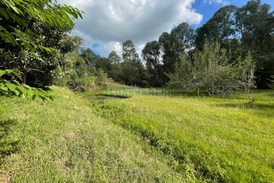 Chácara com 150m², 2 dormitórios, 1 vaga, no bairro Vila Seca em Caxias do Sul para Comprar