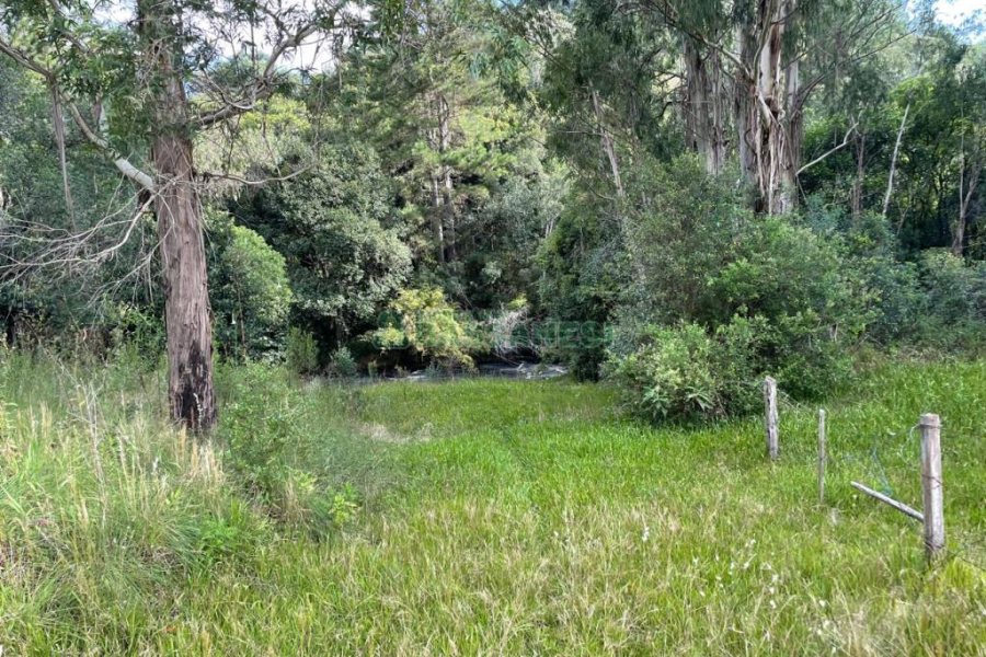 Chácara com 150m², 2 dormitórios, 1 vaga, no bairro Vila Seca em Caxias do Sul para Comprar