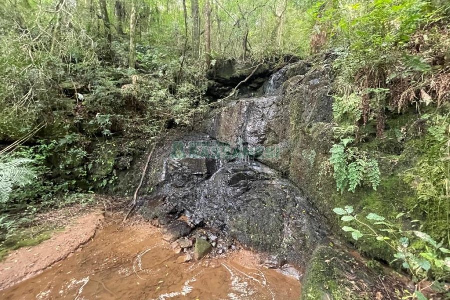 Chácara com 150m², 2 dormitórios, 1 vaga, no bairro Vila Seca em Caxias do Sul para Comprar