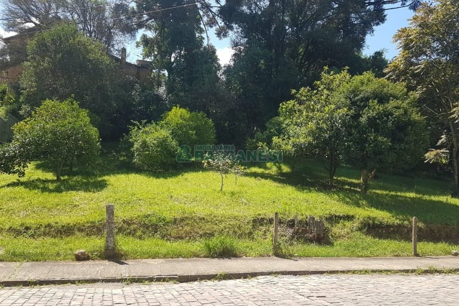 Terreno, no bairro Panazzolo em Caxias do Sul para Comprar