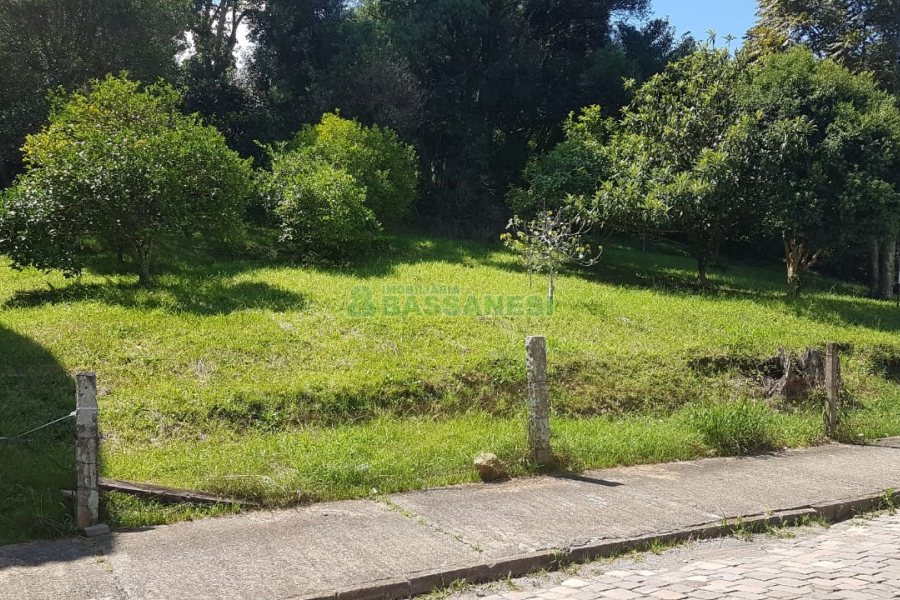 Terreno, no bairro Panazzolo em Caxias do Sul para Comprar