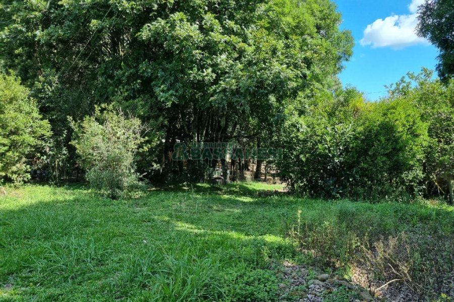 Chácara, no bairro Fazenda Souza em Caxias do Sul para Comprar