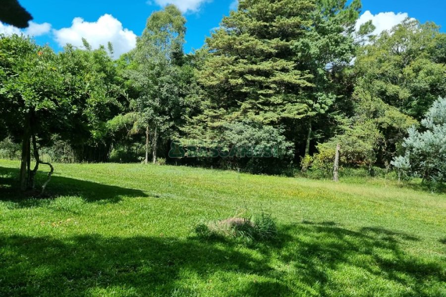 Chácara, no bairro Fazenda Souza em Caxias do Sul para Comprar