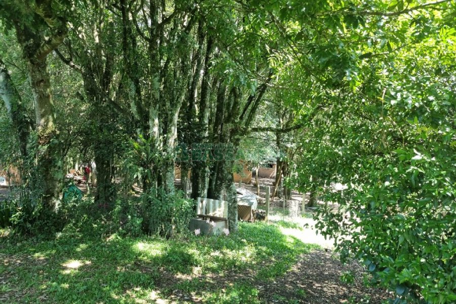 Chácara, no bairro Fazenda Souza em Caxias do Sul para Comprar