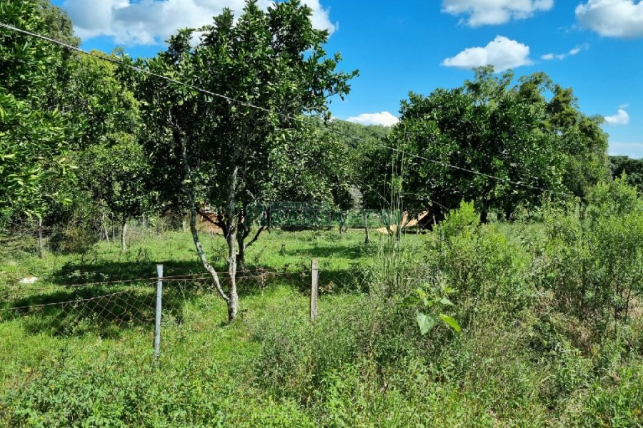 Chácara, no bairro Fazenda Souza em Caxias do Sul para Comprar