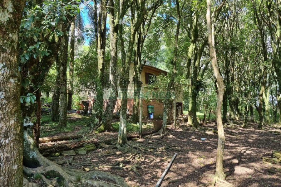 Chácara, no bairro Fazenda Souza em Caxias do Sul para Comprar