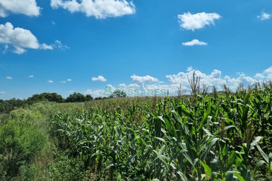 Chácara, no bairro Fazenda Souza em Caxias do Sul para Comprar