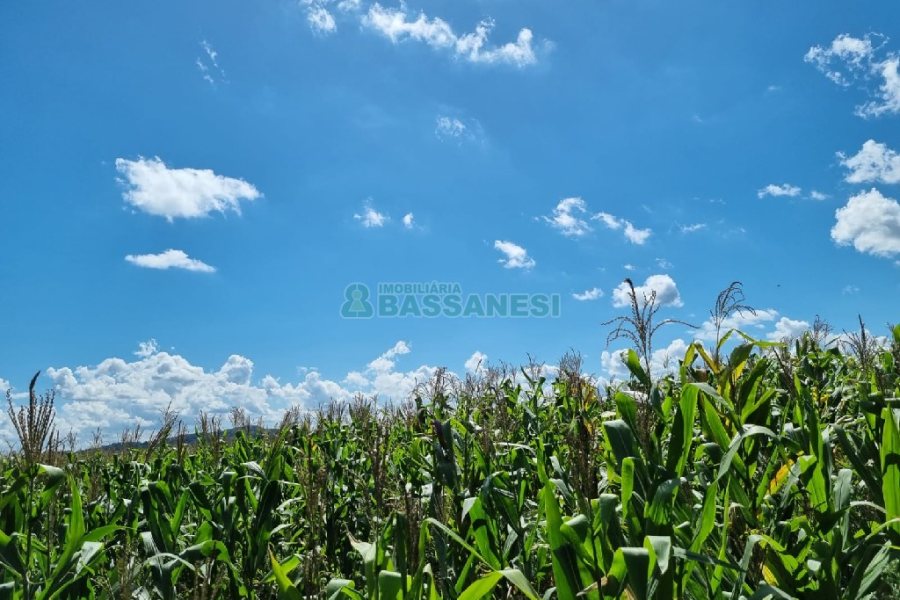 Chácara, no bairro Fazenda Souza em Caxias do Sul para Comprar