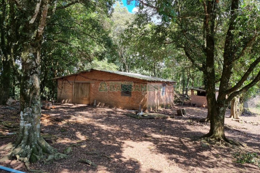 Chácara, no bairro Fazenda Souza em Caxias do Sul para Comprar