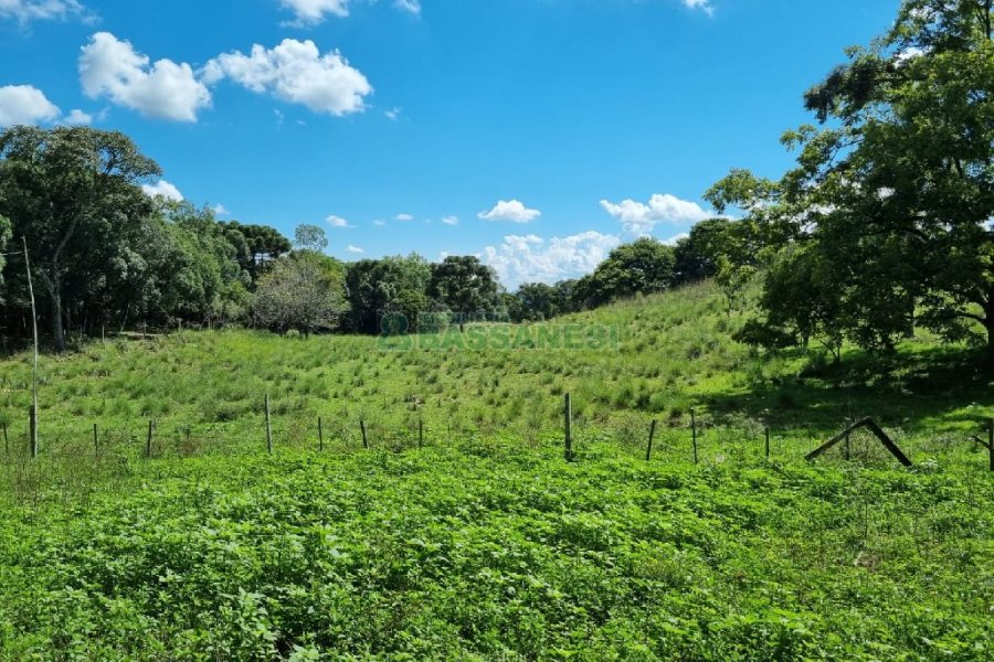 Chácara, no bairro Fazenda Souza em Caxias do Sul para Comprar