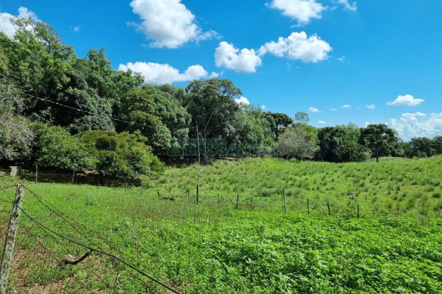 Chácara, no bairro Fazenda Souza em Caxias do Sul para Comprar