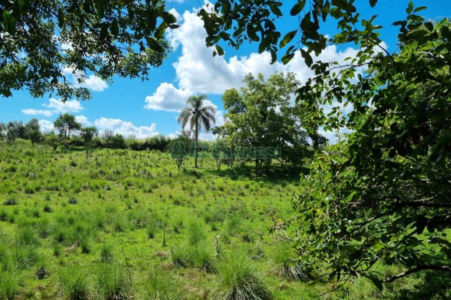 Chácara, no bairro Fazenda Souza em Caxias do Sul para Comprar