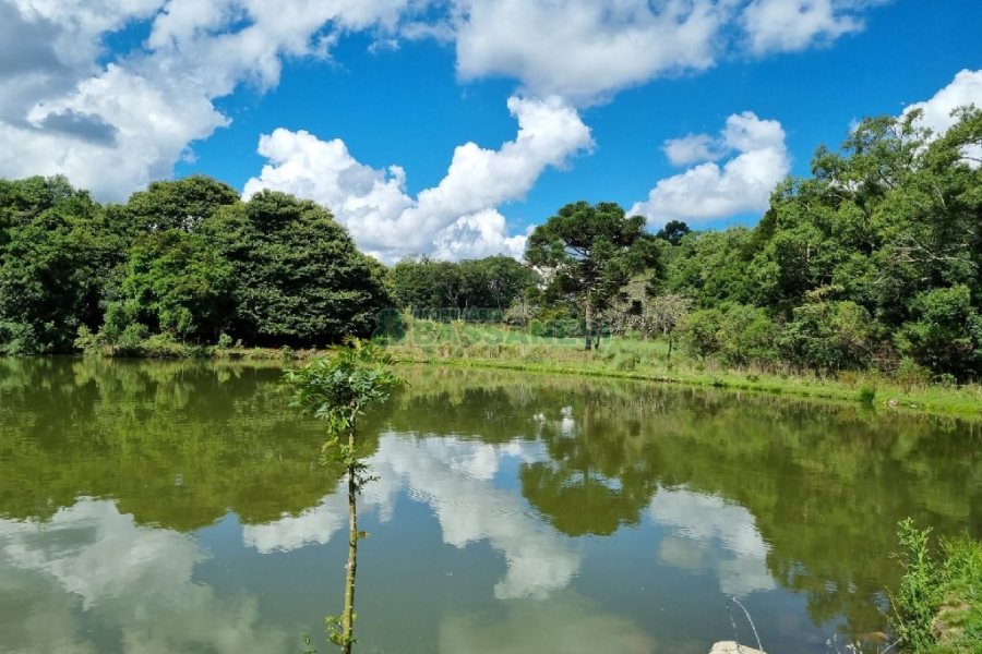 Chácara, no bairro Fazenda Souza em Caxias do Sul para Comprar