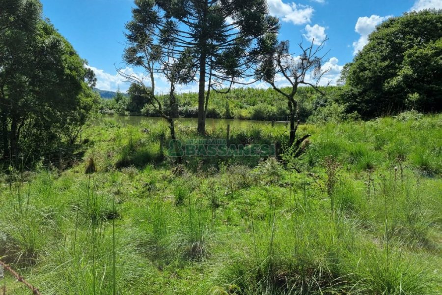 Chácara, no bairro Fazenda Souza em Caxias do Sul para Comprar