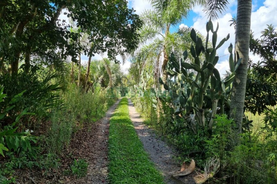 Chácara, no bairro Fazenda Souza em Caxias do Sul para Comprar
