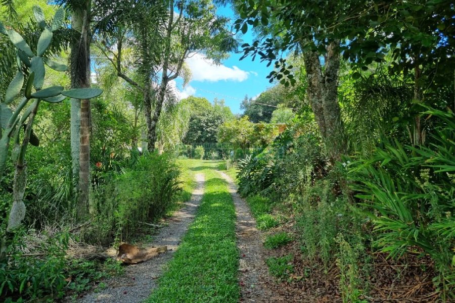 Chácara, no bairro Fazenda Souza em Caxias do Sul para Comprar