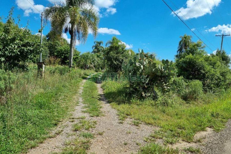 Chácara, no bairro Fazenda Souza em Caxias do Sul para Comprar