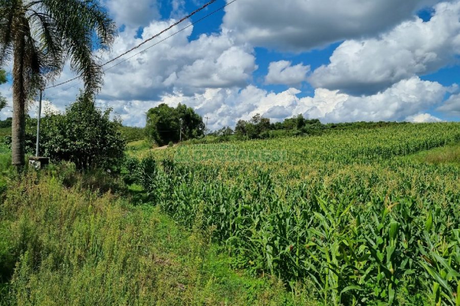 Chácara, no bairro Fazenda Souza em Caxias do Sul para Comprar