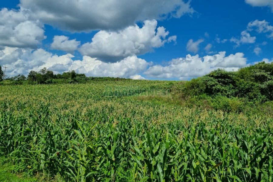 Chácara, no bairro Fazenda Souza em Caxias do Sul para Comprar