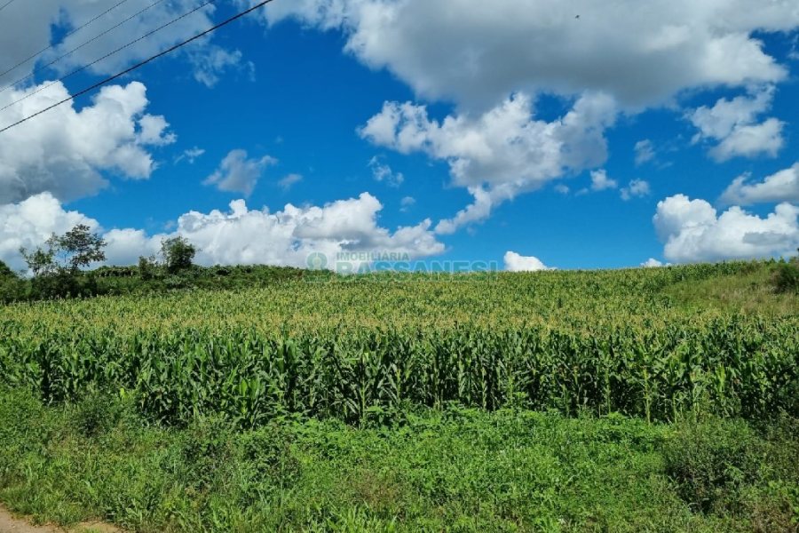 Chácara, no bairro Fazenda Souza em Caxias do Sul para Comprar