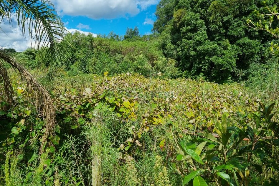 Chácara, no bairro Fazenda Souza em Caxias do Sul para Comprar