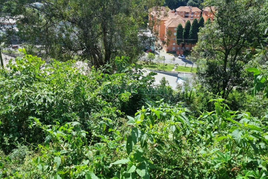 Terreno, no bairro Madureira em Caxias do Sul para Comprar