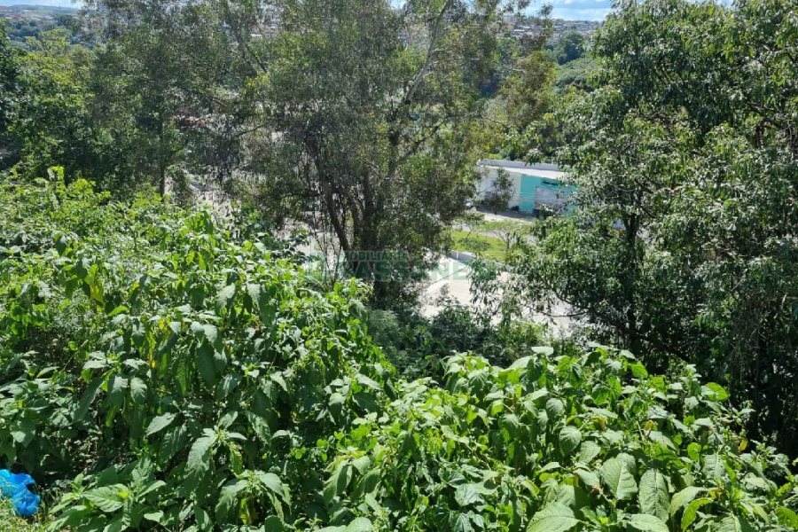 Terreno, no bairro Madureira em Caxias do Sul para Comprar