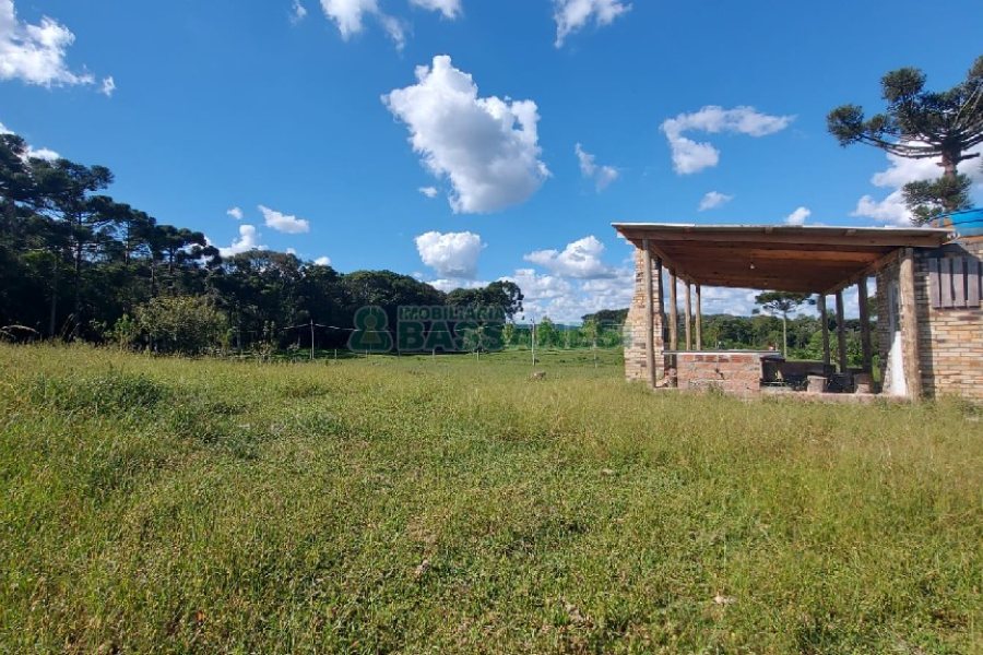 Chácara, no bairro Nossa Senhora das Graças em Caxias do Sul para Comprar